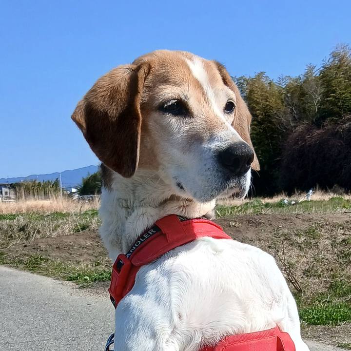 D6fdd0cf bacb 42b8 9f03 d5a48081cee1 1773720429007