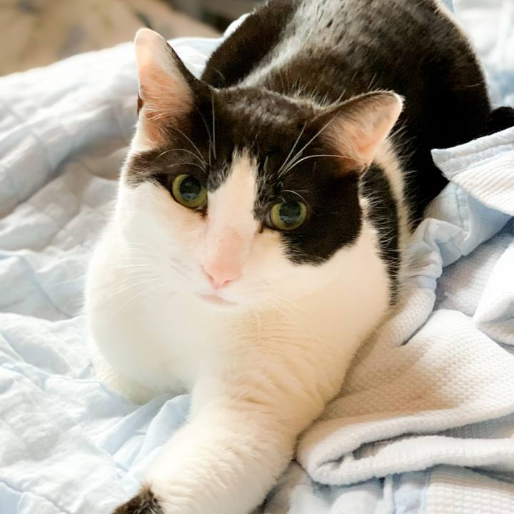 D6fde335 ebc5 4ecd 88bf cbec12db0f10 1590280735923