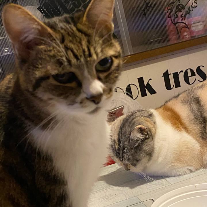 D6fdee8b 5801 4f1e 82b1 21f8ee7886bd 1639065670143