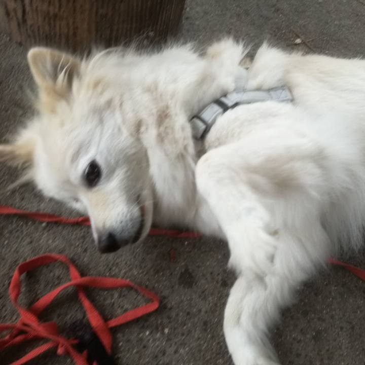 D6fe0865 fb58 44ca a066 ee8000d78382 1527729996923