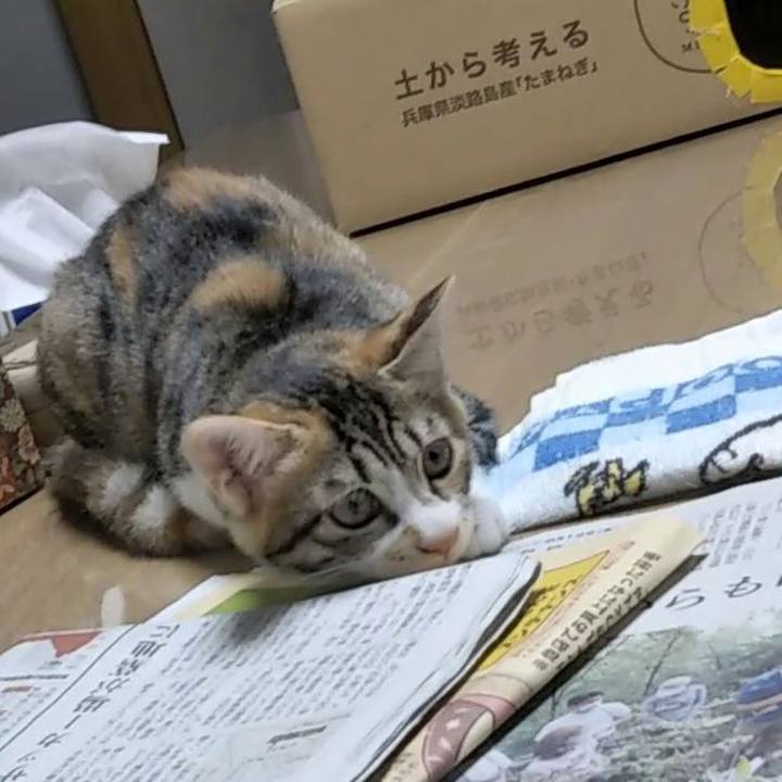 D6fe1064 7e7c 4f89 a99e bf8f088eccc5 1628763841097