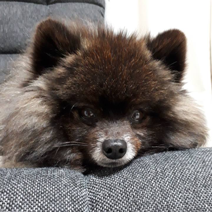 D6fe540f a40f 42ec 8615 19b4e1292c3f 1520443251766