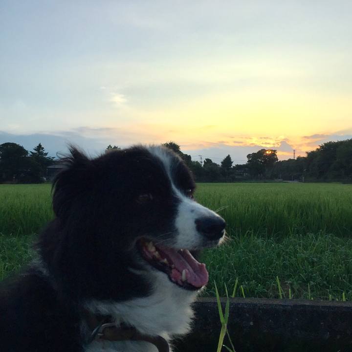 D6fe565a 2a61 499c 95c8 488768511f3b 1566427514390