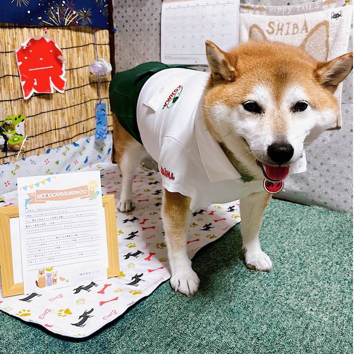 D6fe58b0 004c 43af 9733 a5448ebbe361 1692961569288