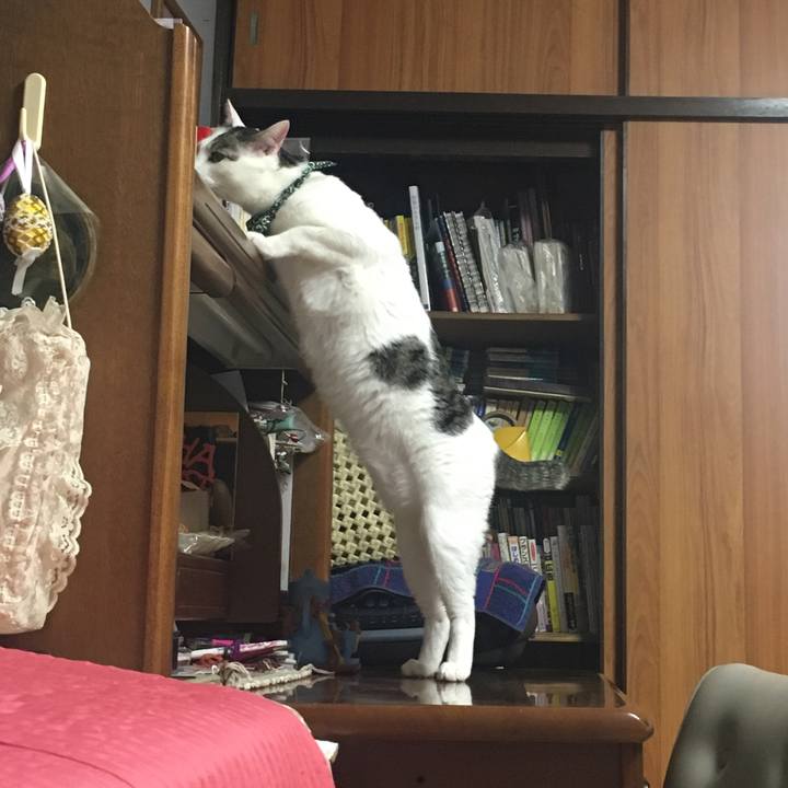 D6fe59bd 512f 43ee a55d 1d62d2c58aad 1525437073283