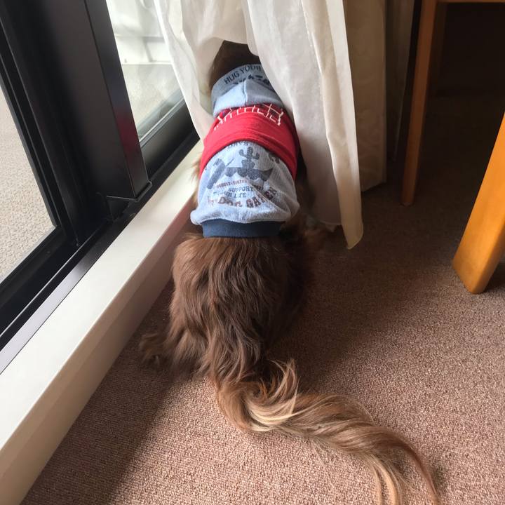 D6fe748e e456 4027 b627 1f740cde9965 1589860110926