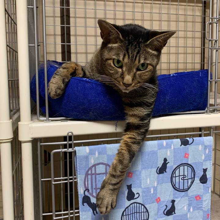 D6fe8816 0646 4c0d bfde d4c17265d245 1567905888944