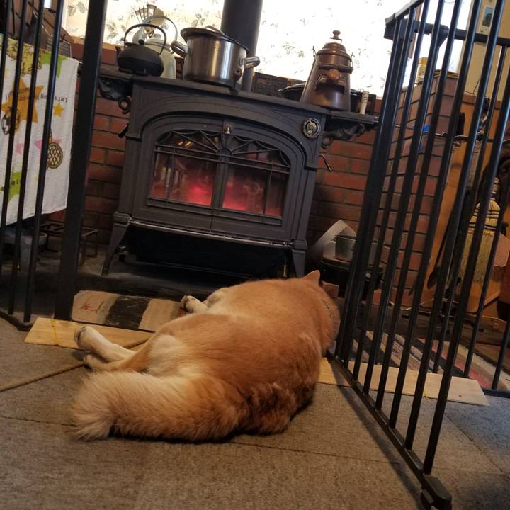 D6ff16af 52a1 4816 90af 679156098807 1707262457361