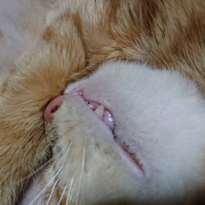 D6ff1b97 316c 48d6 90fd 65dda95aef2e 1654087288319