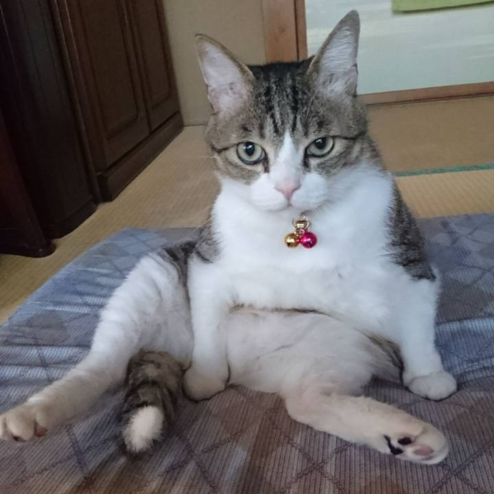 D6ff48ee 222b 4658 9b6a 1c9f042410d6 1560243950726