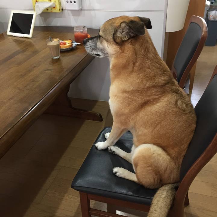 D6ff4fea c6a0 4e7d afdf 117e4e04b2d4 1535845802080