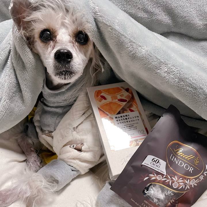 D6ff6805 4fc6 4b68 bfb4 96b0e305acca 1771067393736