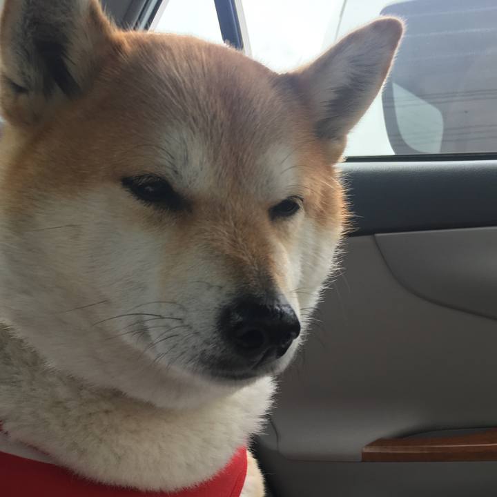 D6ffc88c 58fd 41ff bd9e 0304e0b985ae 1582170767128