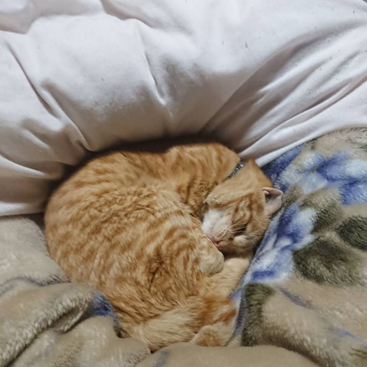 D6fffeb3 e75e 4d14 b4b6 5046ad67fabe 1648902028713