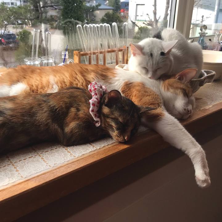 D7002b0c 5cae 440a 9354 d8e322552588 1620166300207