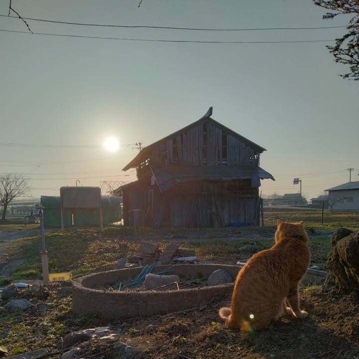 D7002dff a88e 4fc2 af64 01f8ab0a540f 1680302764956