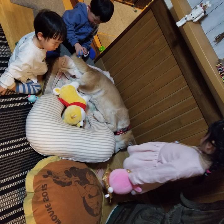 D700818d 3baf 47ce a3d3 2429cbe5dfef 1739005834528