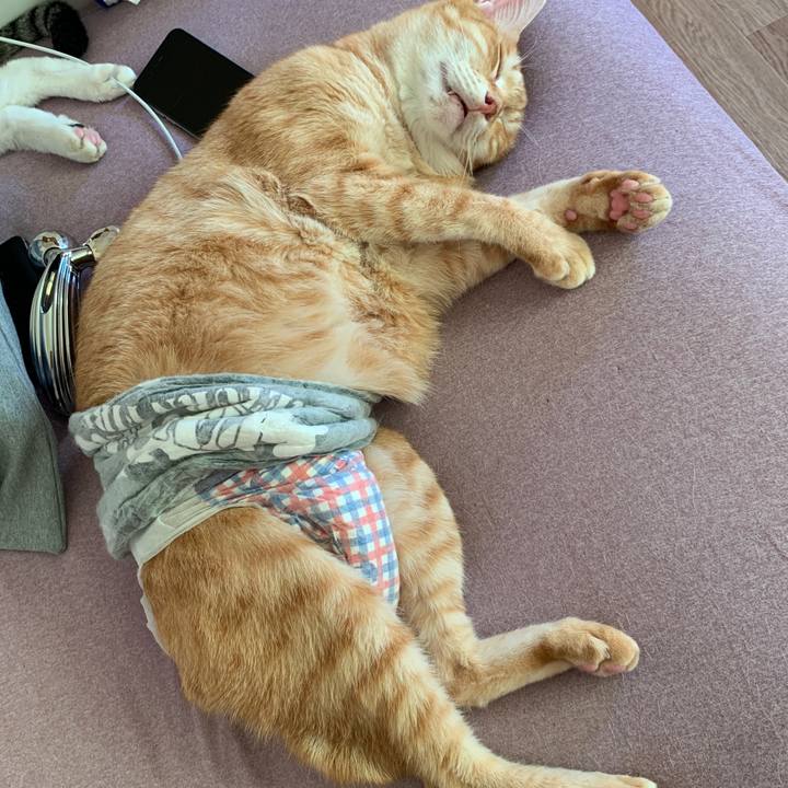 D70086a7 aaec 44b7 8514 4ea2cb2c197b 1665877249371