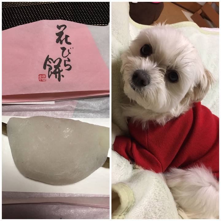 D700c642 ee3f 4860 8f5b c06d8e600a39 1546511410910