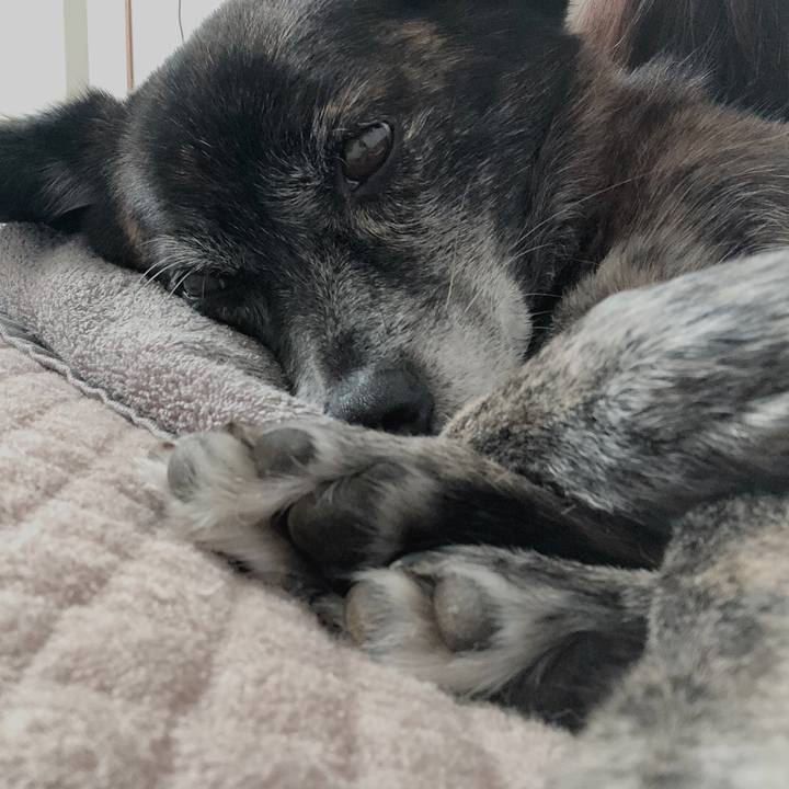 D700e1aa 7bf2 4a4a ae08 0fd7e472b803 1640303185542