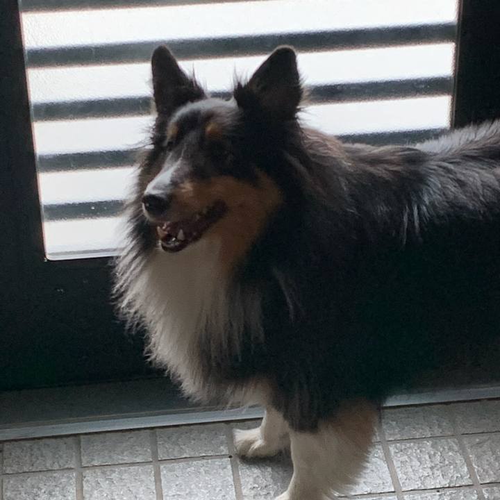 D700e2ce 1350 4c7c ae8f 3ee8fb5c839c 1597448622994