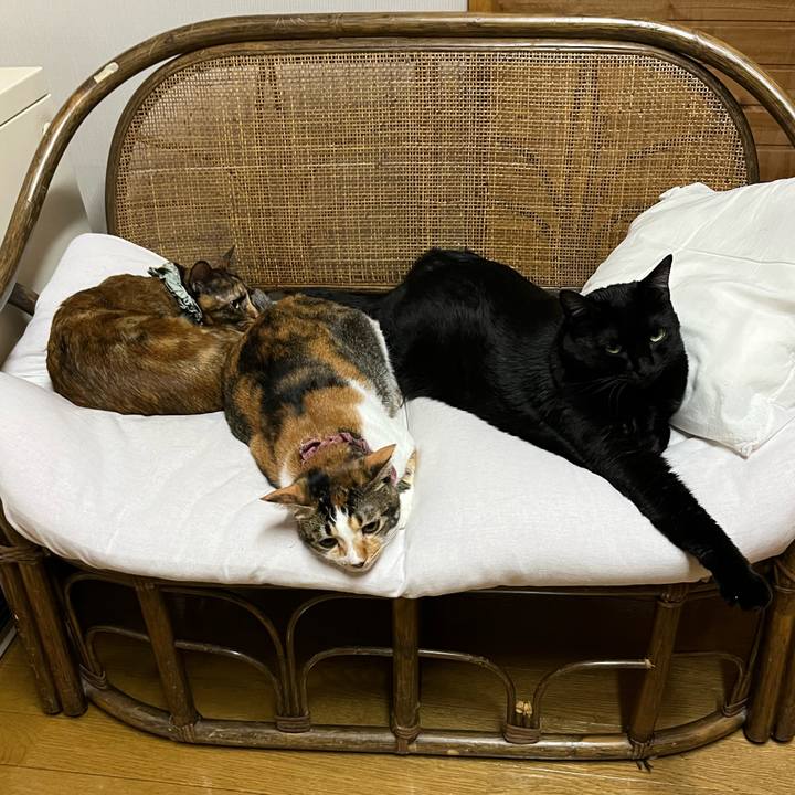 D70128bd 61f6 46e6 9376 c0b2777ef3da 1671610113274