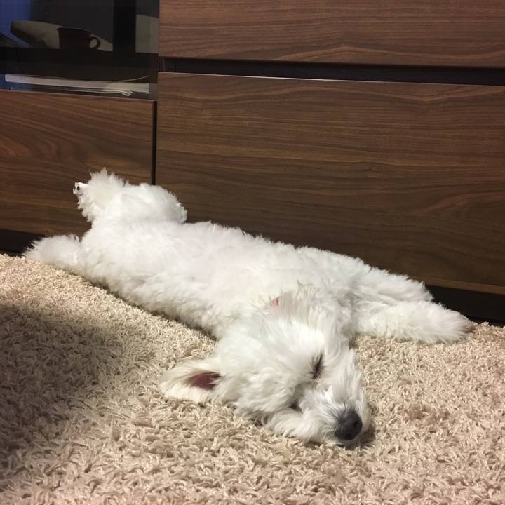 D701349a c5e3 45b0 b60d 532ad8e7bf3c 1543044411075