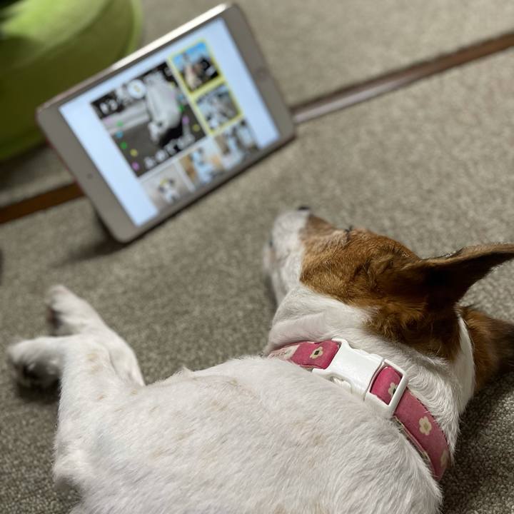 D7019336 a5fa 43c5 ae96 6124824f4580 1624192238908