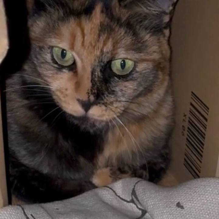 D7019f97 1ed0 4be7 8e01 0cca132cc709 1755377813357