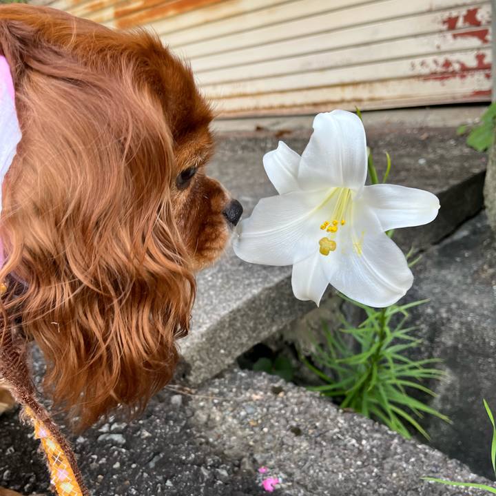 D701b2c6 8a92 4724 98fc d696978f9b50 1660215073409