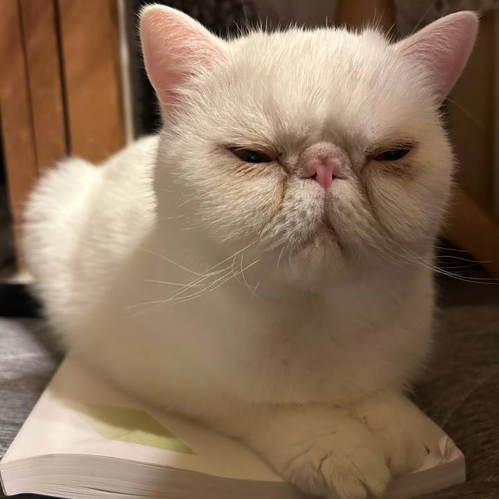 D701b65c 6e7d 4a53 b5c3 052ee2637c76 1691151848624