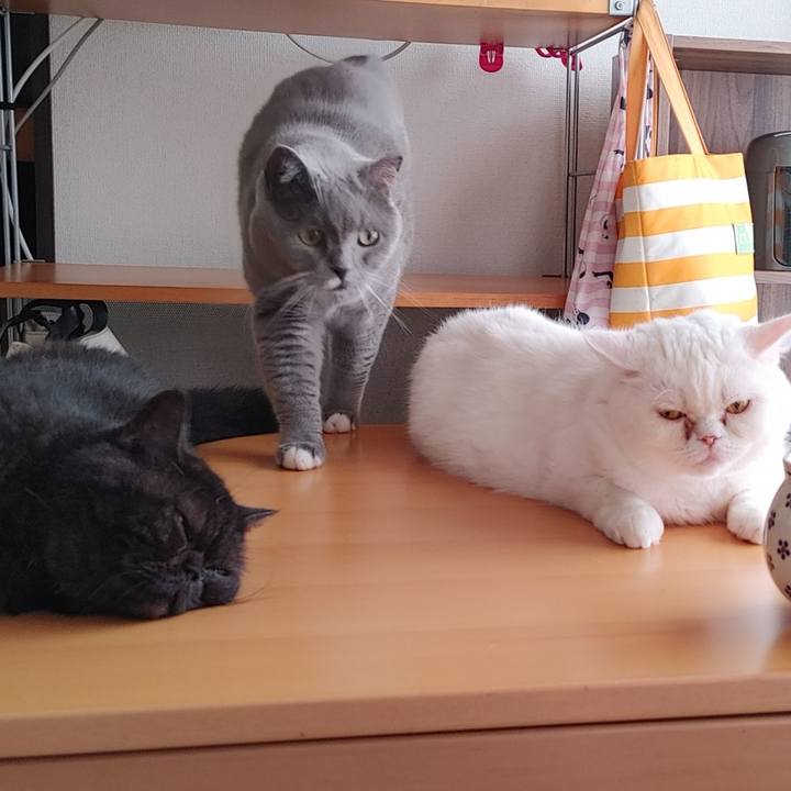 D701b847 2cc4 478d bc0c 276288a95cce 1632527076089