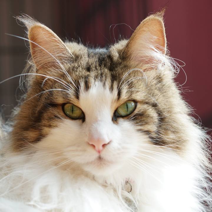 D701ba2a 9d46 40f3 8ef1 641c6d858fb6 1561361123620