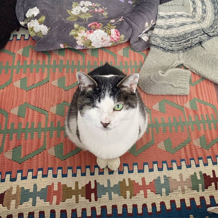 D701f54e 0869 494d a6b8 f6d6efc6d51c 1586509710287