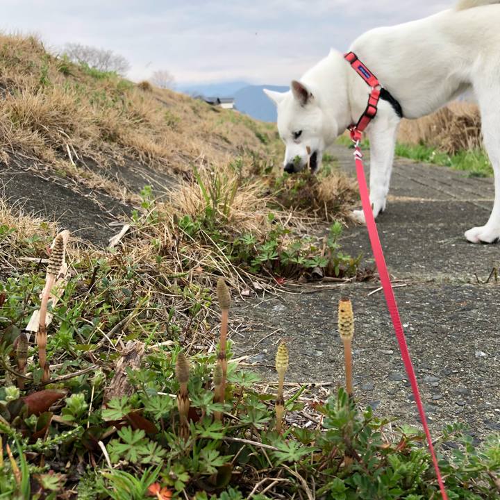 D702315b 01de 4d8e b853 5e4ad1a3852d 1521073586590