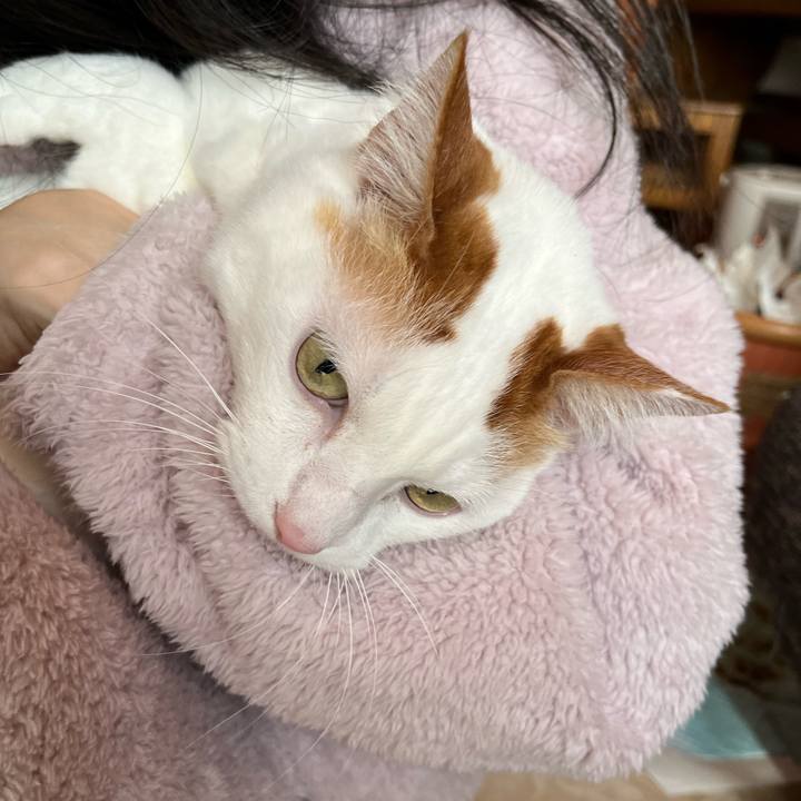 D70298fd 8da0 4b67 951d 2d34877a4e72 1769377821817