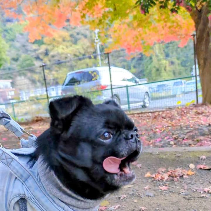 D702a082 ee06 4ff3 ac29 746d44d21494 1765982946199