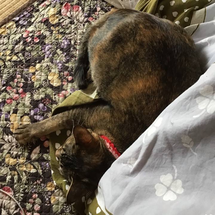 D702c844 a2f2 4b41 b751 68809036fa11 1678589950988