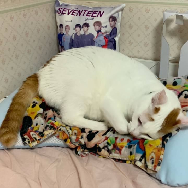 D702ea45 89bb 4197 99ba 940f29505880 1595189820009