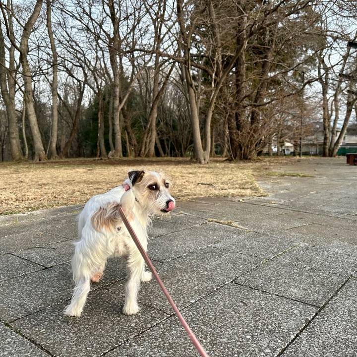 D703621d 118a 4ffb a3b4 89ce03a628d1 1711588109871