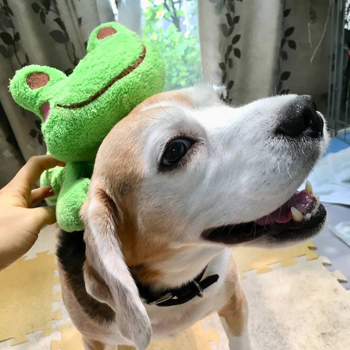 D70363a6 2702 4e03 8833 ca84a5d030f9 1561530023465