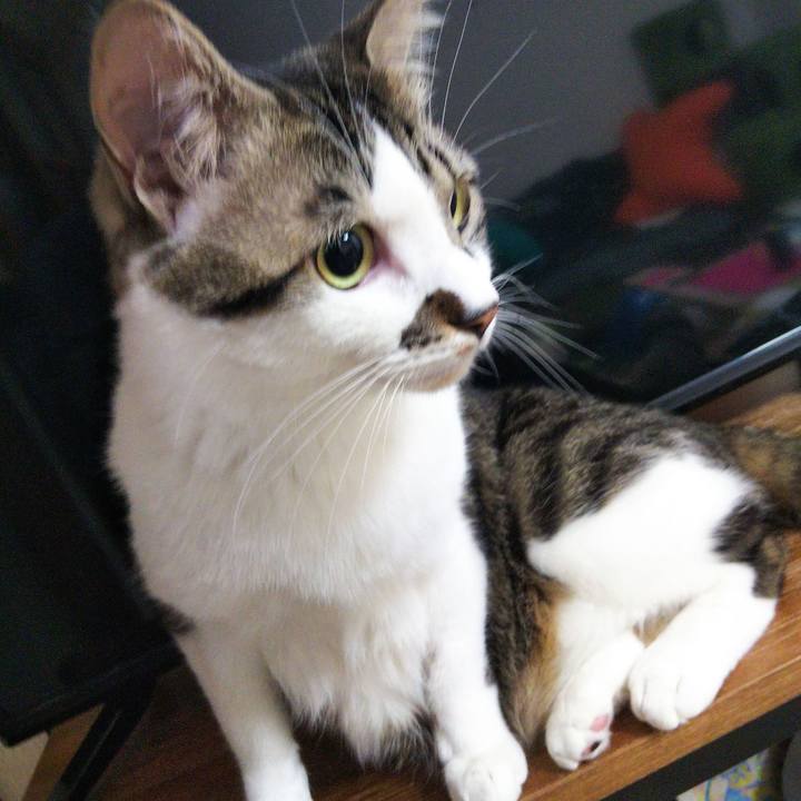 D7037a3d 1e96 442a b6b6 5d4ec37c4161 1641900484530