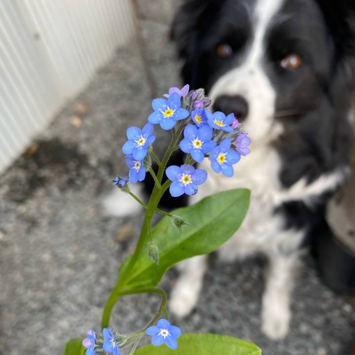 D70383c9 2f78 4bdd 9679 36a8f7b040eb 1616629181670