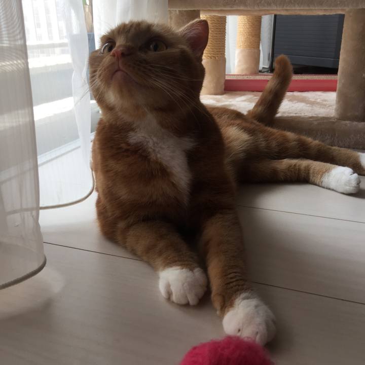 D703a5b5 ef02 48c3 972f 09564b7c7ecc 1556418138192