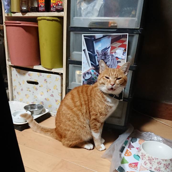 D703e841 4cf2 4695 932b 4e2f7f4430f8 1601755101979