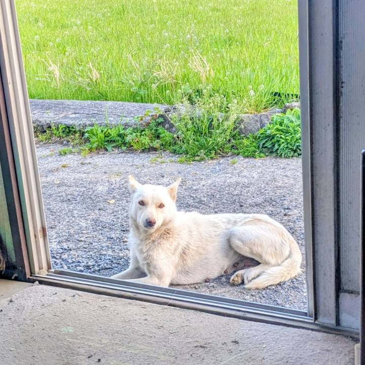 D7041db3 d4ab 4f82 8489 445319c9d89a 1774349756807