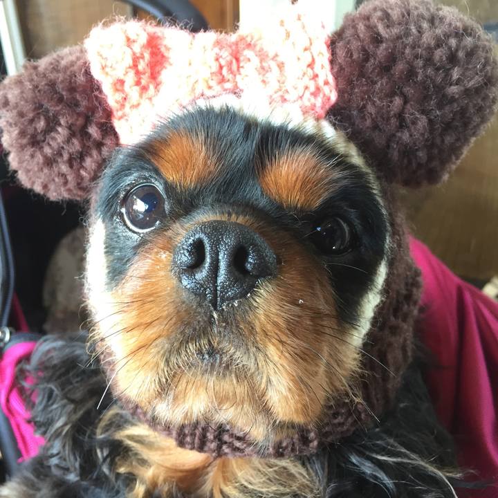 D704372e 0aac 44c8 b592 ca5f704b5298 1512220921249