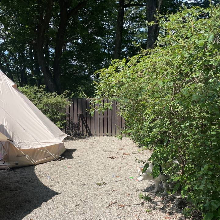 D7047e18 d7cc 47df a08b db8f72b7aa16 1692408579431