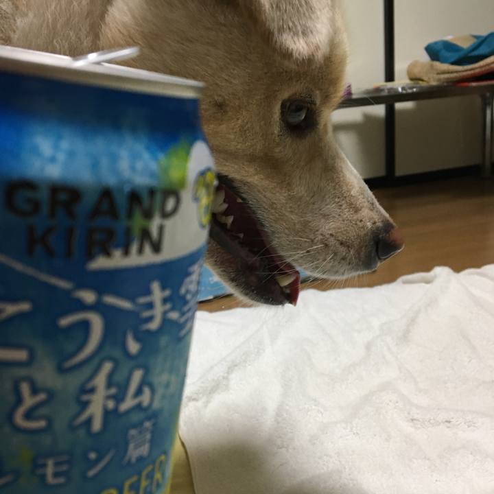 D7048b32 bcf7 4381 9aa9 c2a8d7eac96e 1531061270681