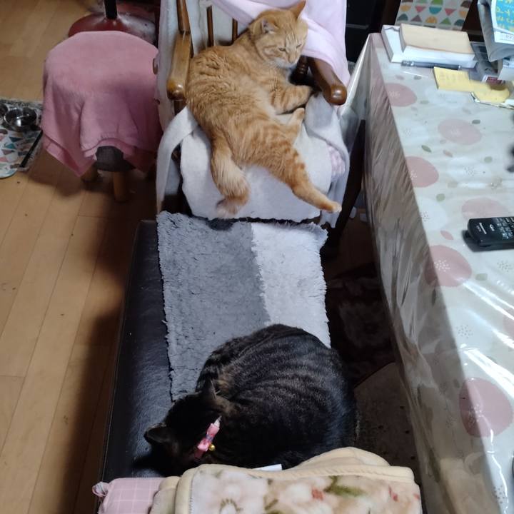 D70493e9 3e48 4a79 86f7 849a90a86d72 1667696179152